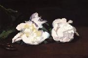 Edouard Manet Branch of White Peonies and Shears Sweden oil painting reproduction
